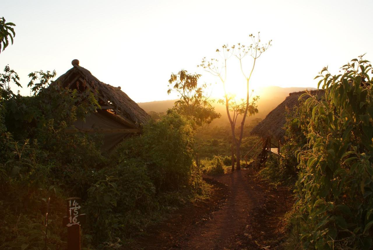 Crater Forest Tented Lodge Karatu Eksteriør billede